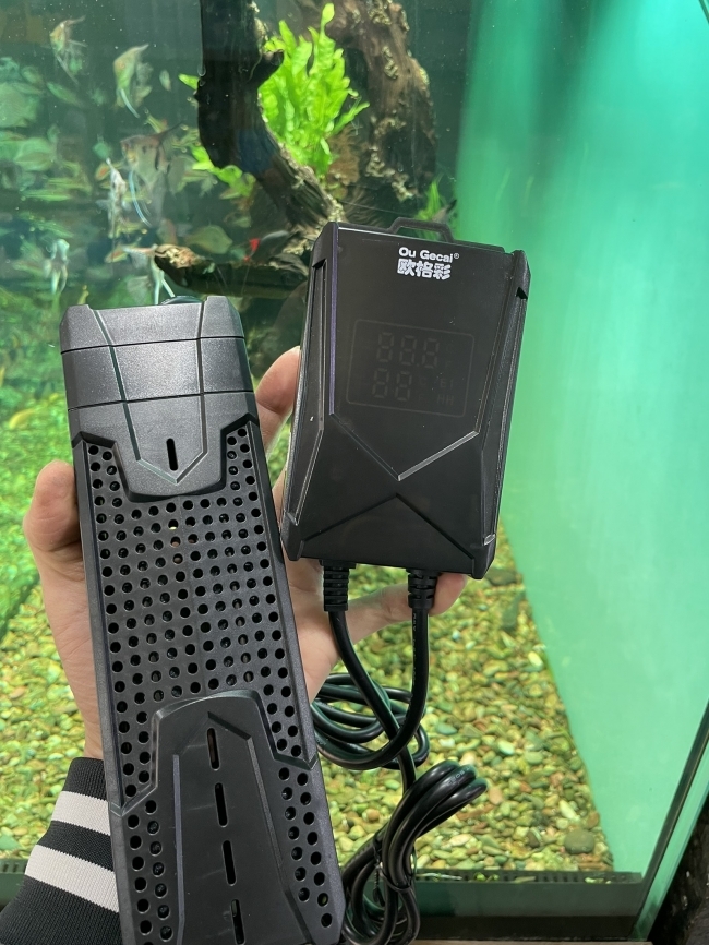 Sưởi bể cá cảnh HZ Q6 Ou Gecai – Giải pháp kiểm soát nhiệt độ thông minh cho bể cá cảnh 1200W