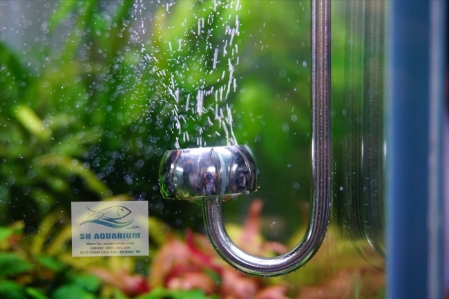 SỦI CO2 INOX CHIHIROS 30CM