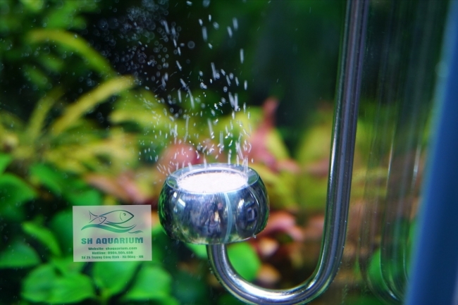 SỦI CO2 INOX CHIHIROS 25CM