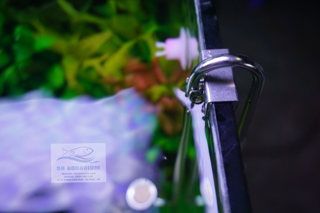 SỦI CO2 INOX CHIHIROS 25CM