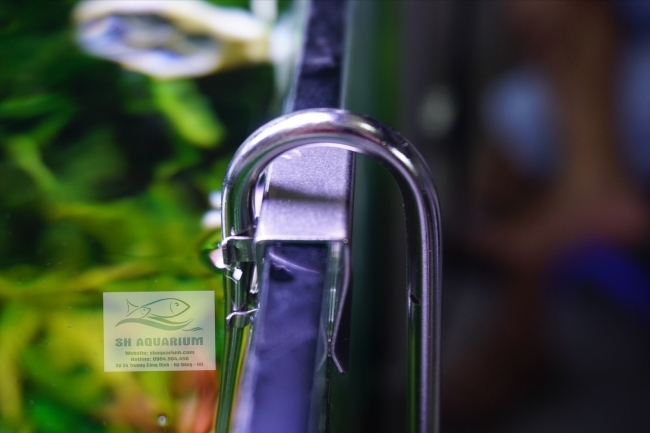 SỦI CO2 INOX CHIHIROS 25CM