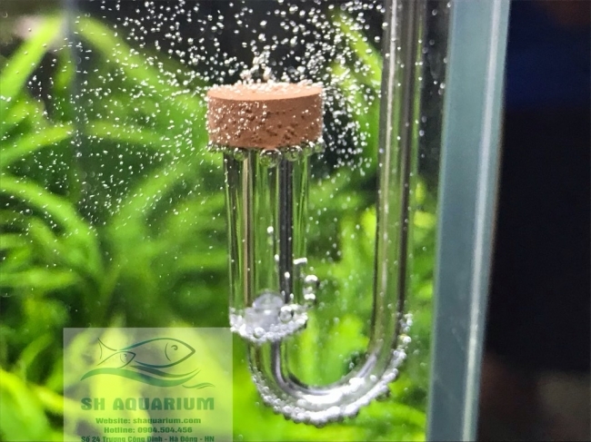 Sủi CO2 siêu mịn Neo