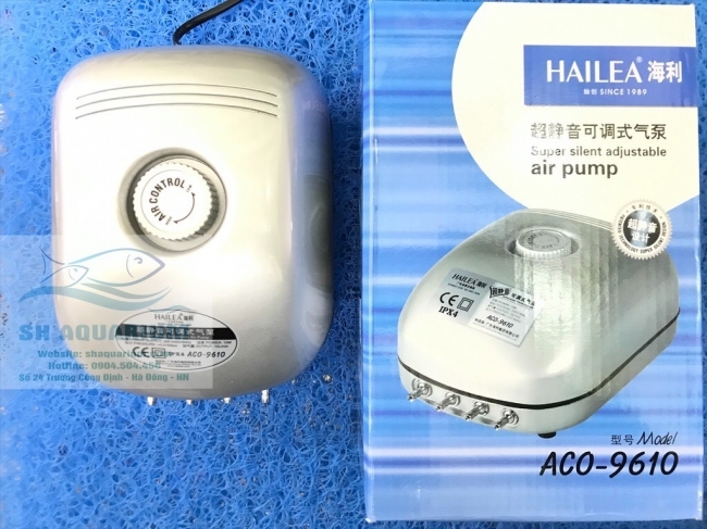 Sủi Oxy 4 vòi siêu êm Haile ACO 9610
