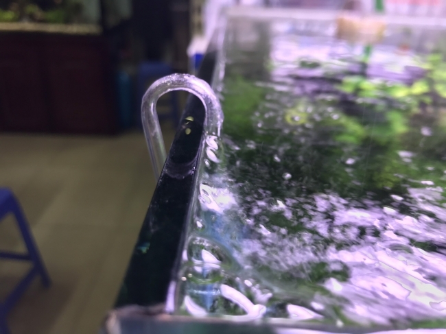 Đầu Sủi Oxy Neo Size M Special