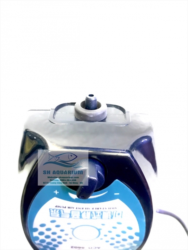 SỦI HAILE ACO 6602