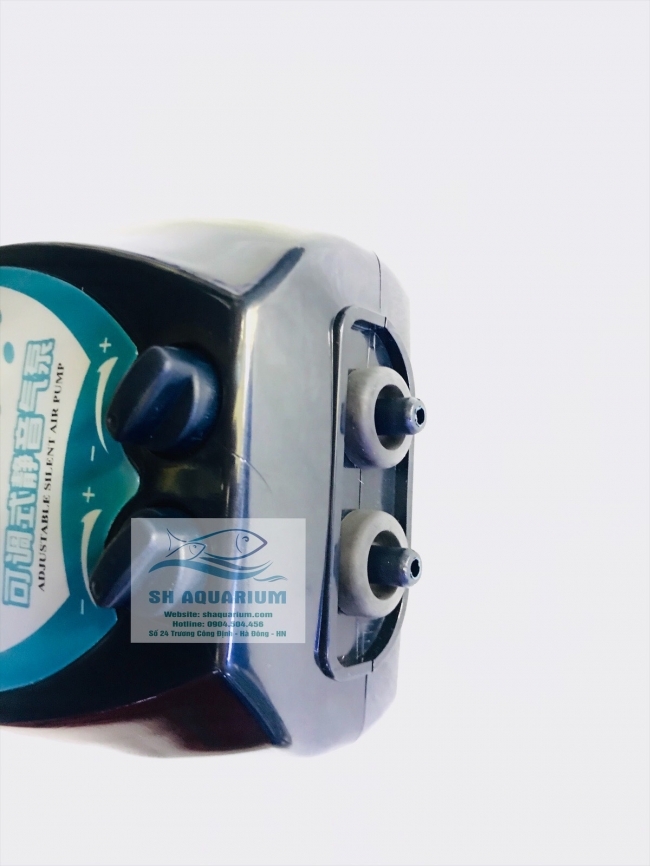 Sủi oxy 2 đầu Haile ACO 6604