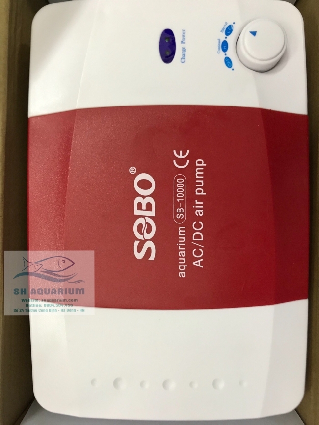 Máy sủi oxy tích điện SOBO 10000