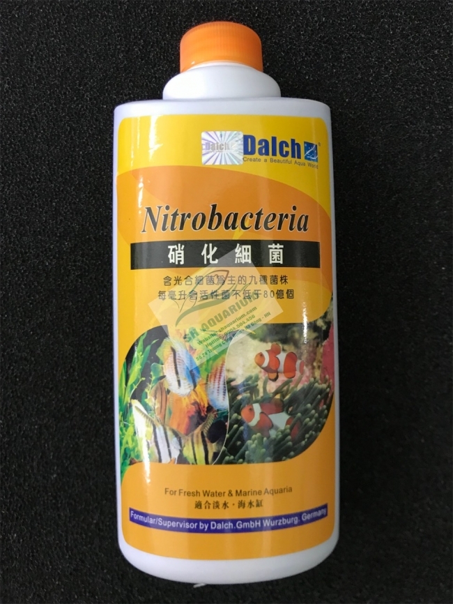 Vi sinh Dalch cho bể cá