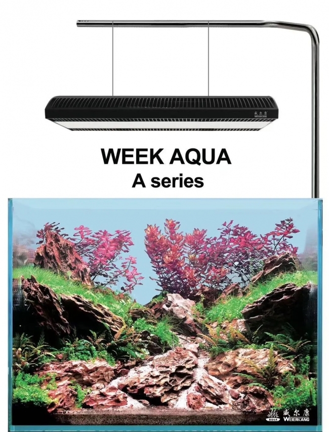 Đèn Led RGB Week ARK A430 Pro
