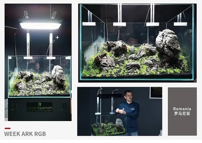 Đèn Led RGB Week ARK A430 Pro