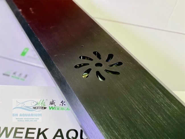 Đèn Week P1200 Pro