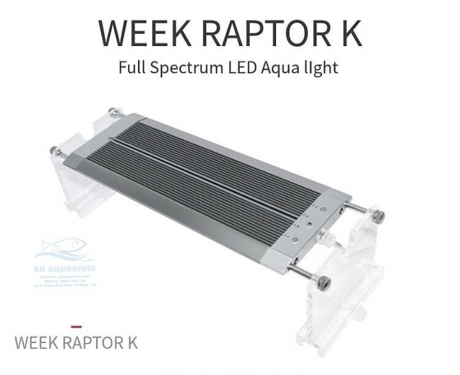 ĐÈN LED WEEK RAPTOR RGB D45CM