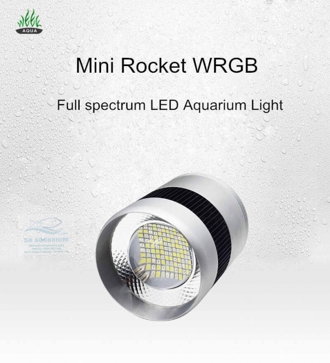 ĐÈN WEEK MINI ROCKET WRGB T50