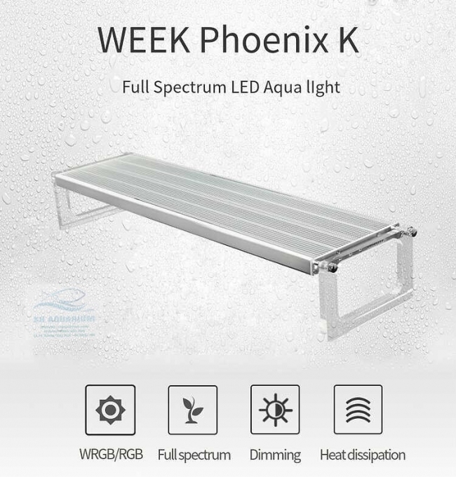 Đèn Led Week Phoenix WRGB 90Cm