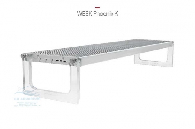 Đèn Led Week Phoenix WRGB 90Cm