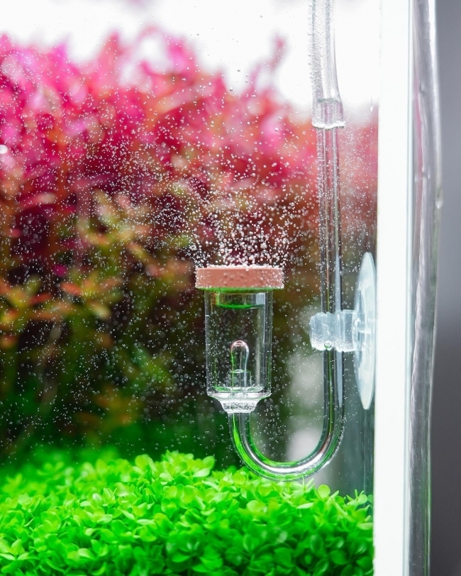 ĐẦU SỦI CO2 CHIHIROS SIZE S