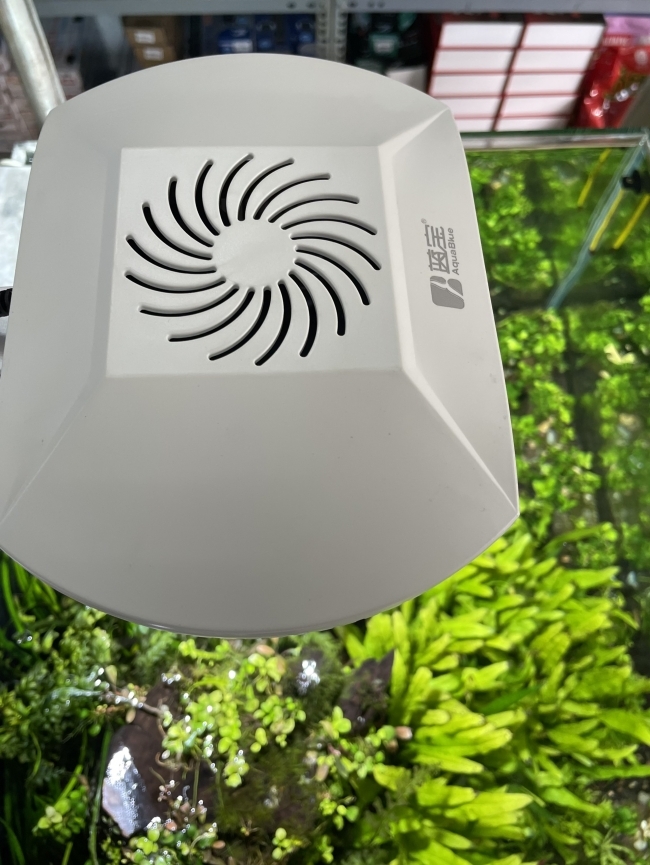 Đèn Led WRGB Aqua Blue S6