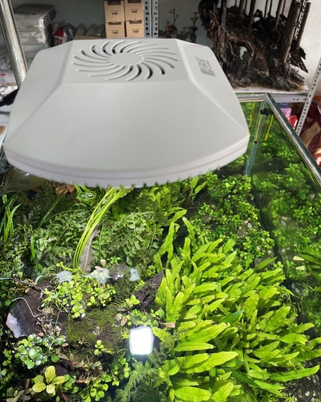 Đèn Led WRGB Aqua Blue S6