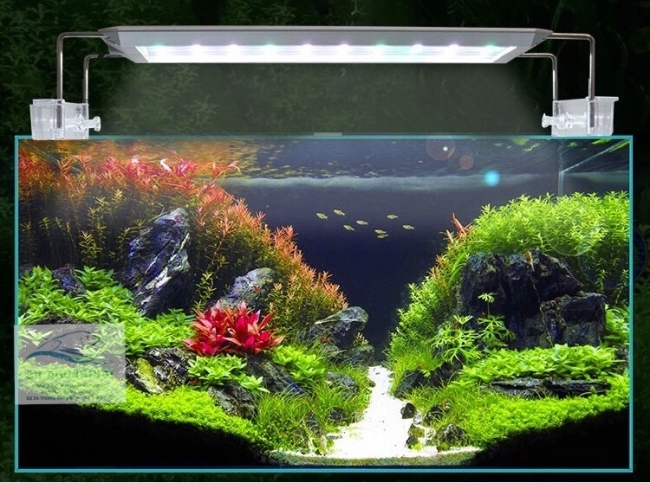Đèn Led Aqua Blue Thế hệ mới Smart Dee 600D