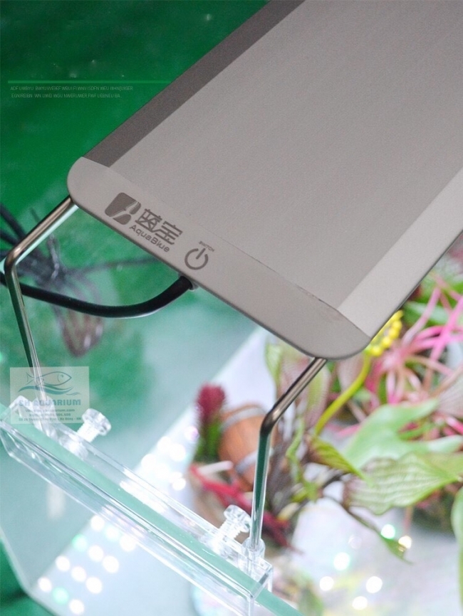 Đèn Led Aqua Blue Thế hệ mới Smart Dee 600D