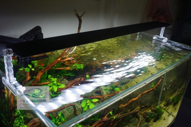 Đèn Chihiros A ver2 60cm