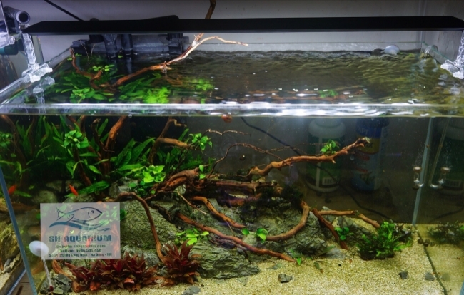 Đèn Chihiros A ver2 60cm