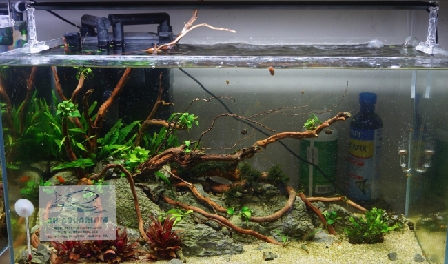 Đèn Chihiros A ver2 60cm