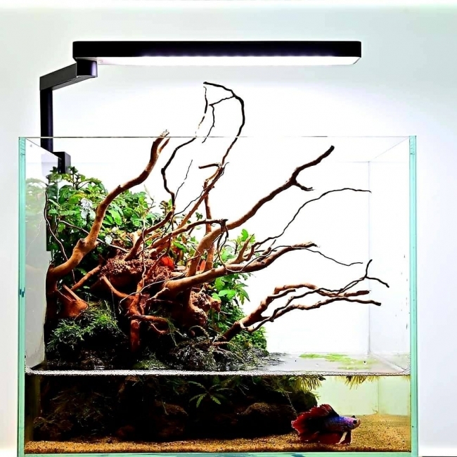 ĐÈN LED CHIHIROS C2