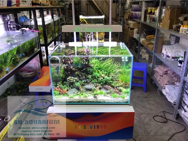 Đèn Led Chihiros RGB ViVid