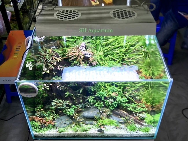 Đèn Led Chihiros RGB ViVid