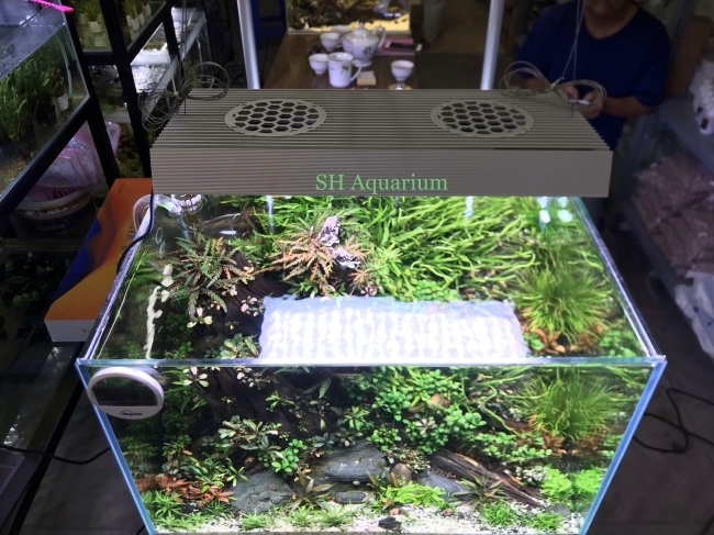 Đèn Led Chihiros RGB ViVid
