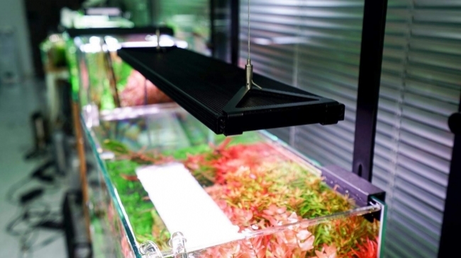 Đèn Chihiros WRGB Pro 120cm