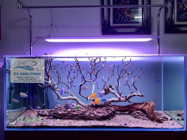 Đèn Led Cao cấp Flat One+ 60