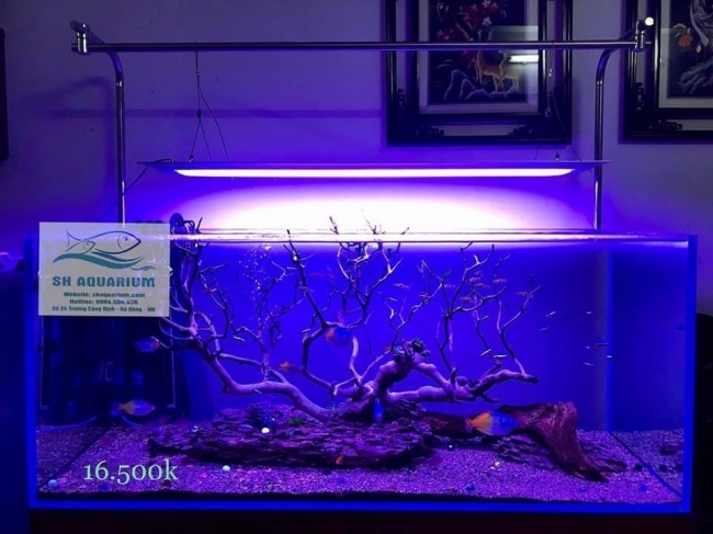Đèn Led Cao cấp Flat One+ 60