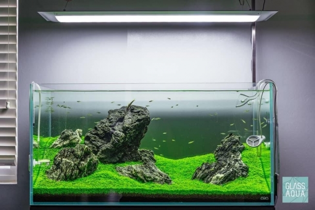 Đèn Led Cao cấp Flat One+ 60