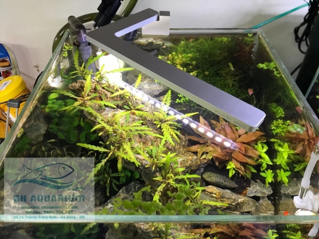 Đèn Led Cao Cấp Flexi mini V2