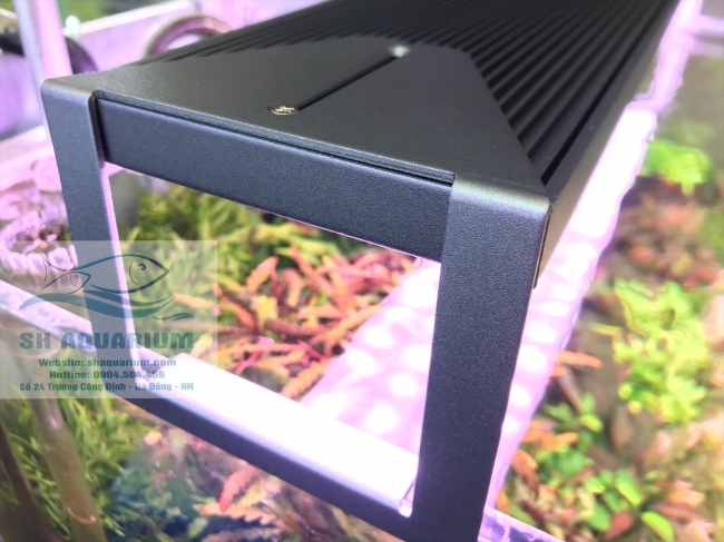 Đèn Led RGB Nala 60cm