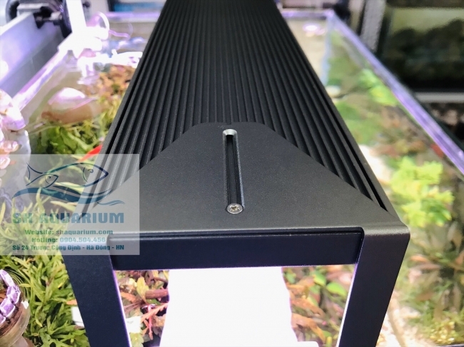 Đèn Led RGB Nala 60cm