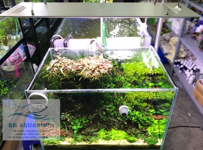 Đèn Led Cao cấp Flat One+ 60