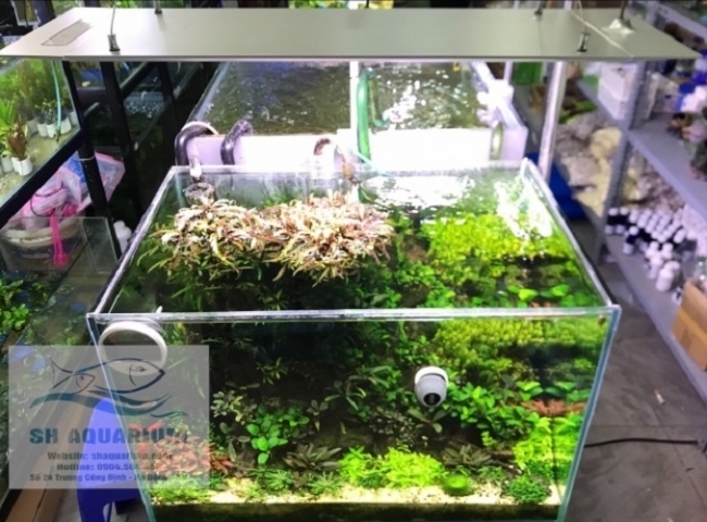 ĐÈN LED CAO CẤP FLAT ONE+ 90