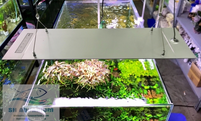 Đèn Led Cao cấp Flat One+ 60