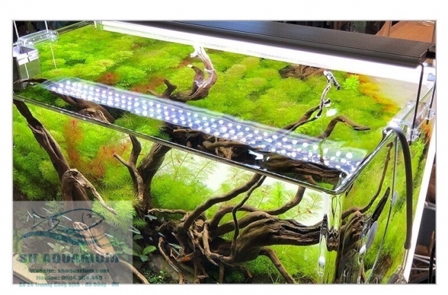 ĐÈN LED ODYSSEA SLIM X450