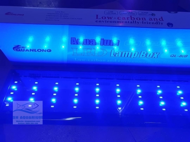 Đèn Led 5 Hàng Quanlong Siêu Sáng Đổi Màu 80cm