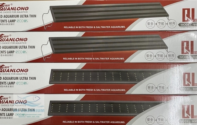 Đèn Led 5 Hàng Quanlong Siêu Sáng Đổi Màu 80cm