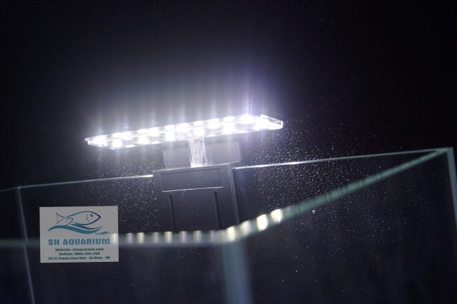 Đèn Led Siêu Sáng X3 6w
