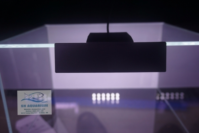 Đèn Led Siêu Sáng X3 6w
