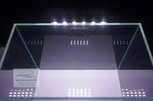 Đèn Led Siêu Sáng X3 6w