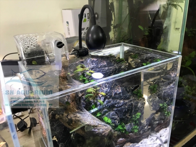 Đèn Led Up Aqua Pro MF-R Đen