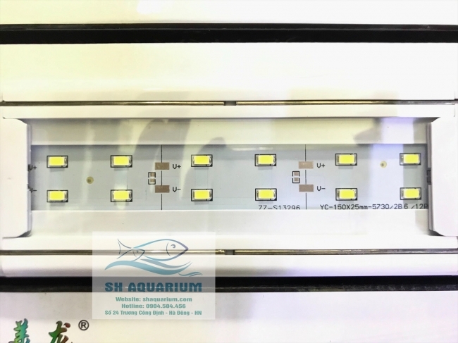 ĐÈN LED MÁNG XML 60/12W