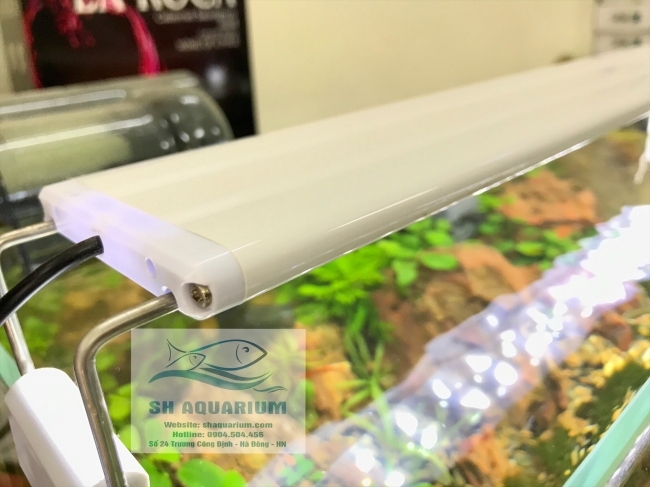 Đèn led máng XML 80/14W